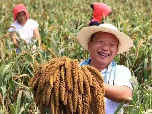 戳我试试